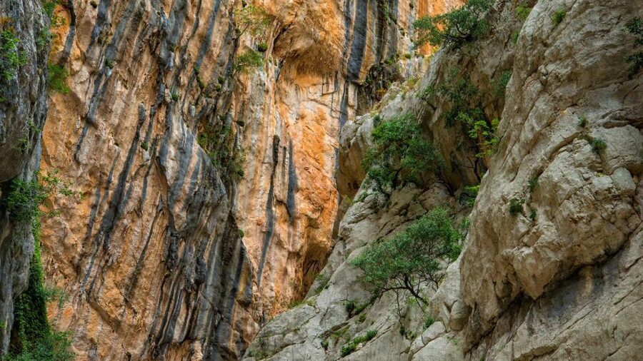 From Cala Gonone: Gorropu hiking with lunch - Lunch by the canyon: what’s included and why it feels special