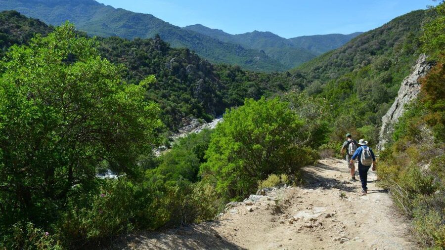 From Cala Gonone: Gorropu hiking with lunch - Walking time, totals, and how to plan your day