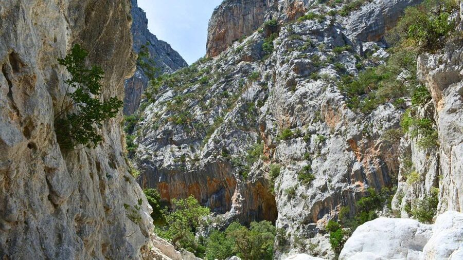 From Cala Gonone: Gorropu hiking with lunch - Who should book this Gorropu hike with lunch