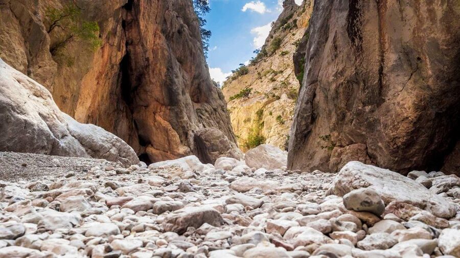 From Cala Gonone: Gorropu hiking with lunch - Should you book this Gorropu hiking with lunch tour?