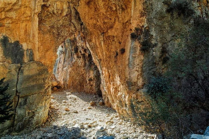 From Chania:Imbros Gorge Tour with Professional Hiking Guide - Key Things You’ll Notice on This Imbros Gorge + Sfakia Tour