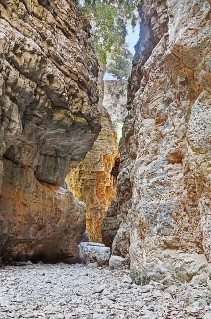 From Chania:Imbros Gorge Tour with Professional Hiking Guide - Chania Pickup, Bus Comfort, and Why Timing Can Vary