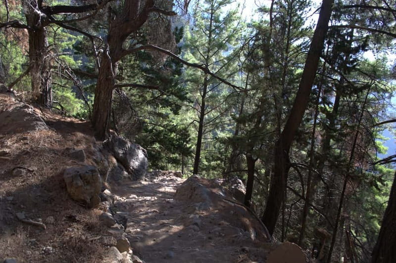 From Chania/Kalyves: Full-Day Samaria Gorge Hiking Day Trip - Who should book this Samaria Gorge hike, and who should skip it