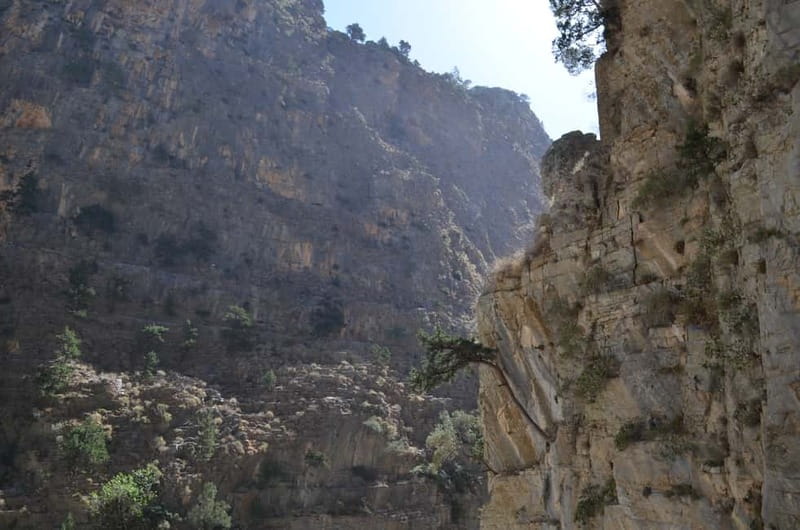 From Chania/Kalyves: Full-Day Samaria Gorge Hiking Day Trip - Getting to Omalos: the early start and the payoff