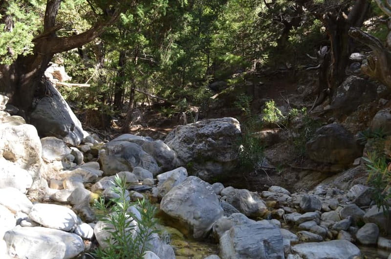 From Chania/Kalyves: Full-Day Samaria Gorge Hiking Day Trip - Agia Roumeli: beach time with a real cooling contrast
