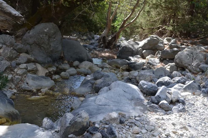 From Chania/Kalyves: Full-Day Samaria Gorge Hiking Day Trip - Ferry to Sougia and the ride back: why the return feels long
