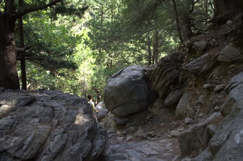 From Chania/Kalyves: Full-Day Samaria Gorge Hiking Day Trip - Price and value: what $32.75 covers (and what it doesn’t)