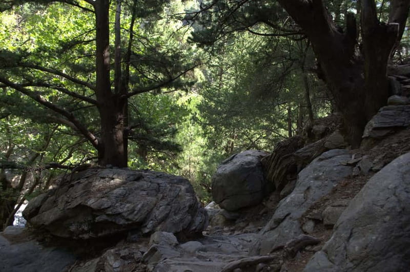 From Chania/Kalyves: Full-Day Samaria Gorge Hiking Day Trip - Guide names you might meet: clear instructions make a difference