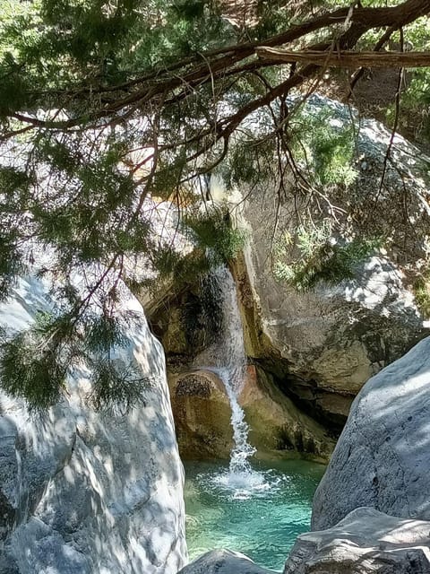 From Chania: Samaria Gorge with Professional Hiking Guide - Entering Samaria Gorge: Iron Gates, Pine Shade, and Kri-Kri Chances