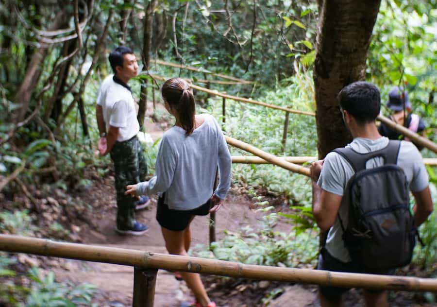 From Chiang Mai: Doi Inthanon National Park Day Trip & Hike - Chiang Mai pickup to Doi Inthanon: the drive that sets the mood