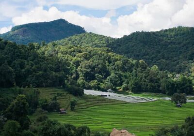 From Chiang Mai: Doi Inthanon National Park Day Trip & Hike - Angka Nature Trail and the rainforest intro you can actually feel