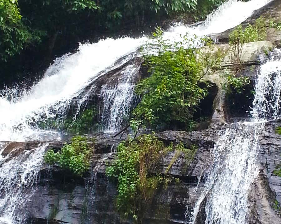 From Chiang Mai: Doi Inthanon National Park Day Trip & Hike - Mae Klang Luang and the return drive: finishing with views, not fatigue