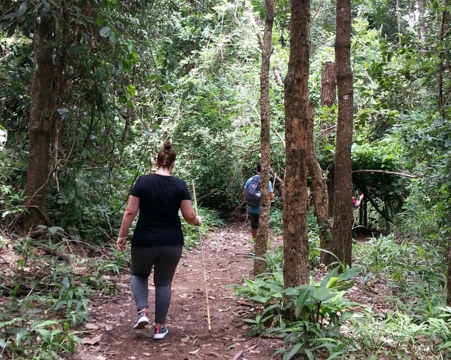 From Chiang Mai: Doi Inthanon National Park Day Trip & Hike - Price and logistics: why $106 can make sense here
