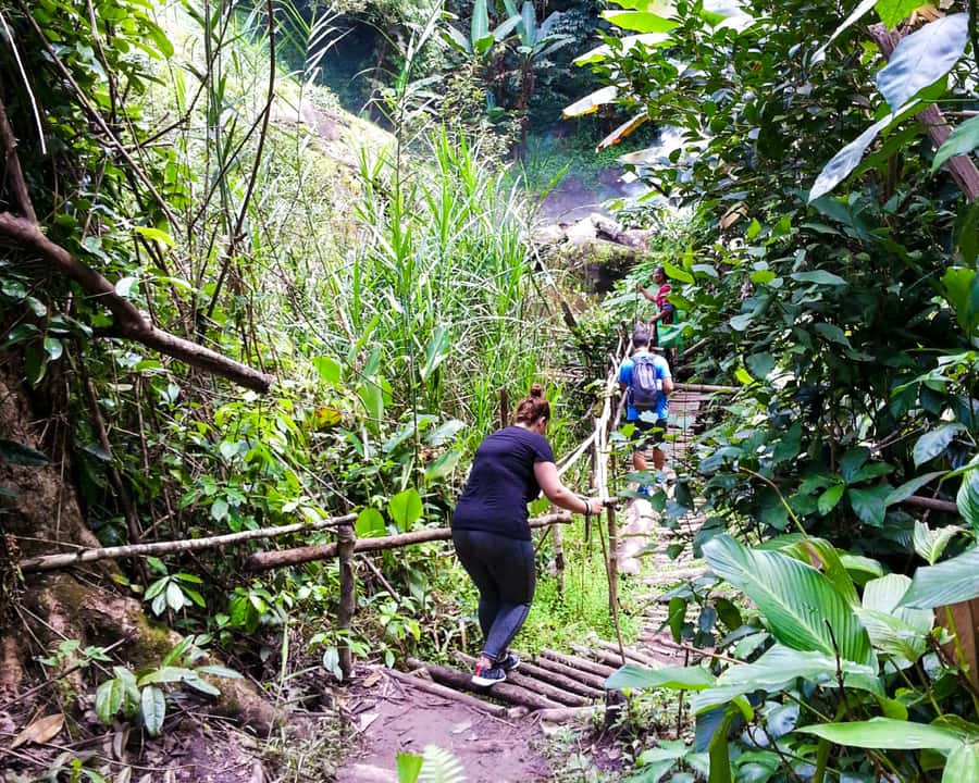 From Chiang Mai: Doi Inthanon National Park Day Trip & Hike - Who this Doi Inthanon day trip fits best