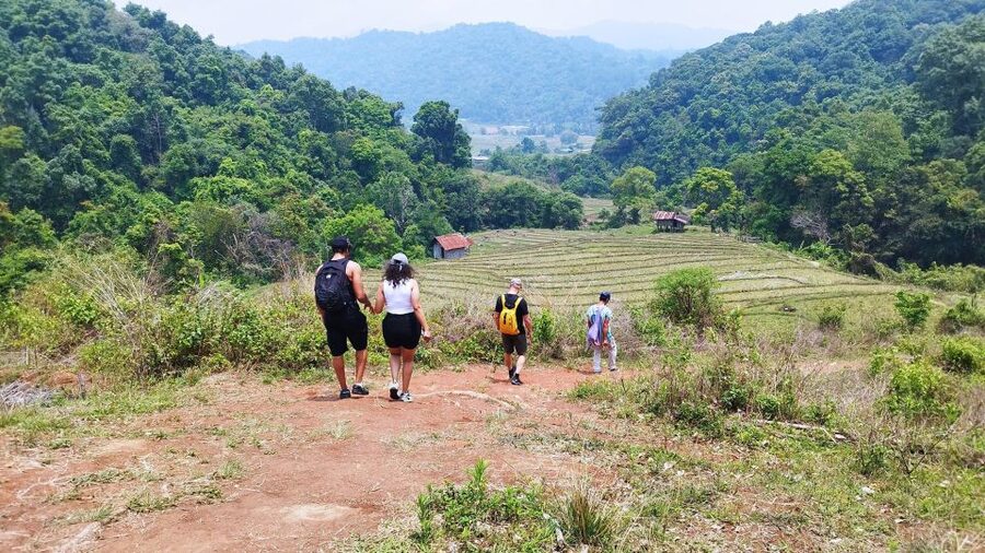 From Chiang Mai: Doi Inthanon National Park Hiking Tour - A different world from Chiang Mai: Doi Inthanon’s big altitude shift