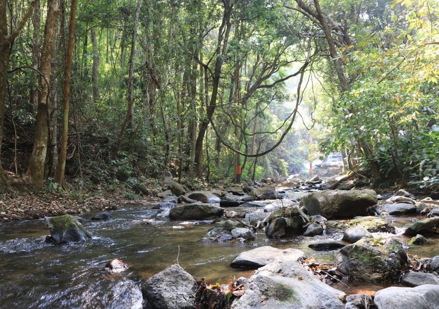 From Chiang Mai: Doi Inthanon National Park Hiking Tour - Getting there in comfort: pickup and a premium-feeling van