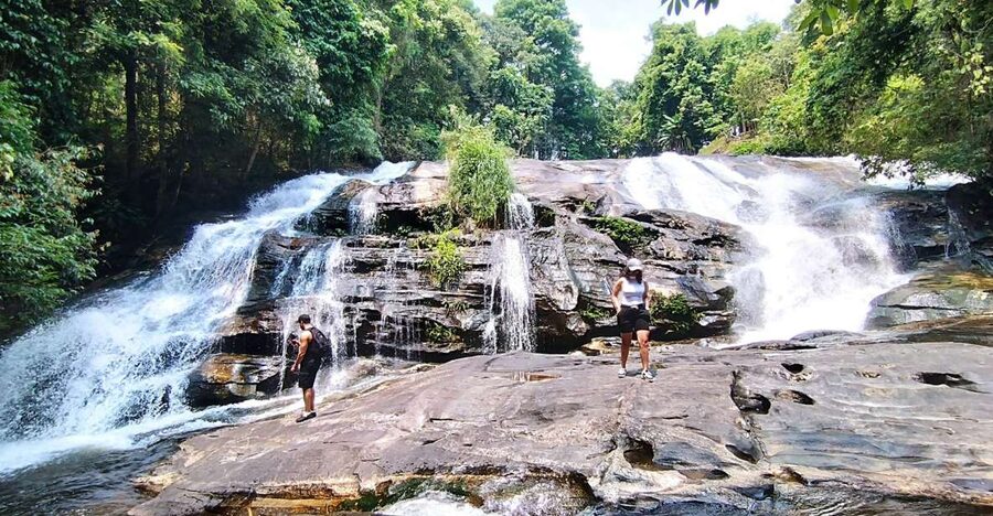 From Chiang Mai: Doi Inthanon National Park Hiking Tour - Pinpointing the forests: pine restoration, valley shade, and farmland