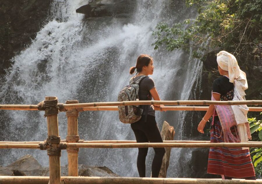 From Chiang Mai: Doi Inthanon National Park Hiking Tour - Wildlife spotting: snakes, lizards, and a gibbon possibility