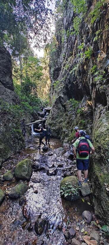 From Chiang Mai: Doi Saket Hiking Tour with Lunch - From Chiang Mai Pickup to a Quiet Trailhead in Doi Saket