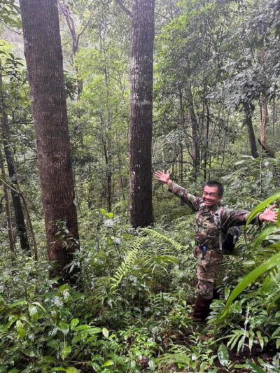 From Chiang Mai: Doi Saket Hiking Tour with Lunch - Midday Crossing to Lunch: Eating in the Jungle and Learning Fruit Truths