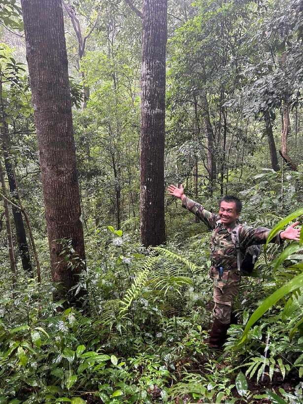 From Chiang Mai: Doi Saket Hiking Tour with Lunch - Midday Crossing to Lunch: Eating in the Jungle and Learning Fruit Truths