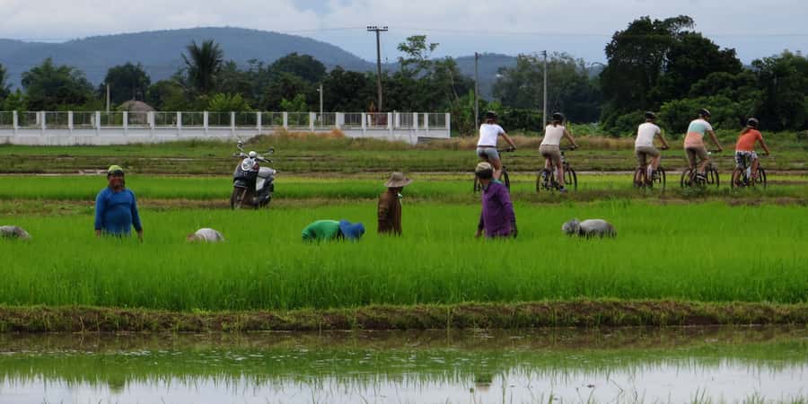 From Chiang Mai: Mae Taeng Valley Hike & Bike Day Trip - Key things to know before you go
