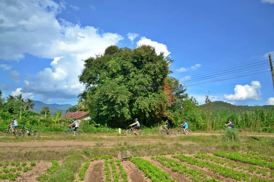 From Chiang Mai: Mae Taeng Valley Hike & Bike Day Trip - The Wat Ban Den temple stop: a quick cultural reset