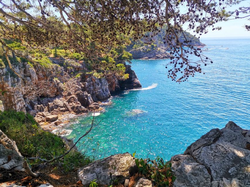 From Dubrovnik: Hiking & Swimming on Koločep Island Day Trip - Where the guide leads you: quieter paths and fewer “same view” moments