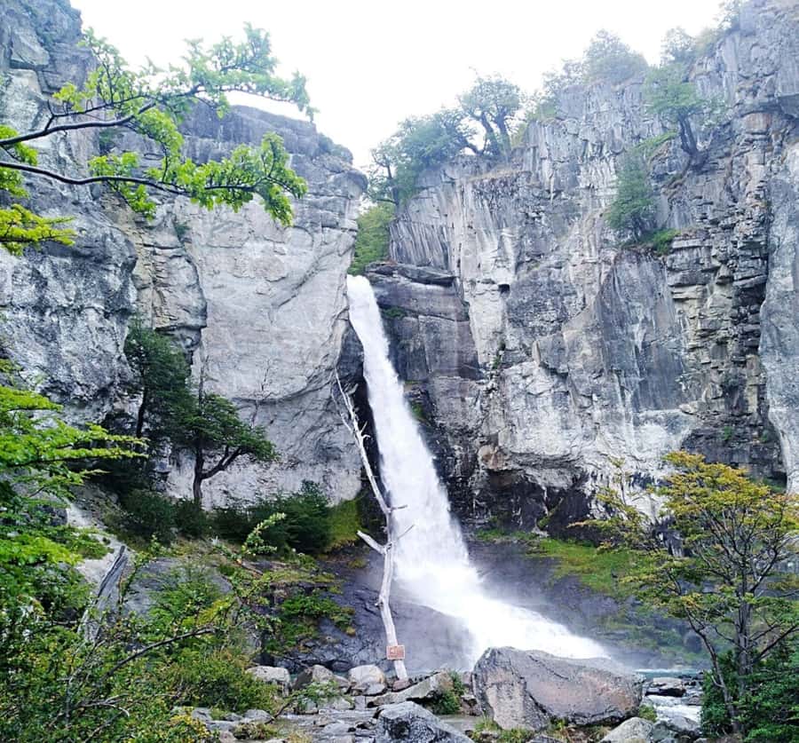From El Calafate: El Chalten Full-Day Tour and Short Hike - Mirador de los Cóndores: The Walk That Teaches You to Look Up