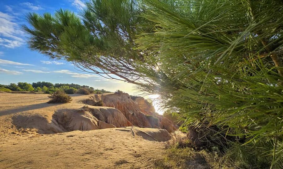 From Faro: 7 Valleys Hiking, Benagil Cave, & Snorkeling Tour - Who Should Book This Tour (And Who Might Not Love It)
