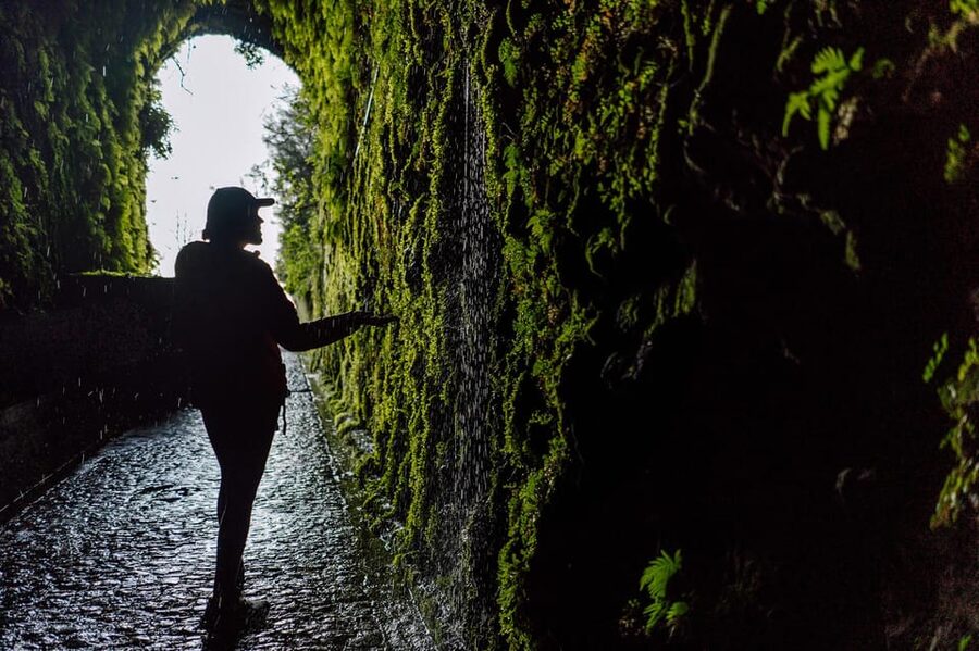 From Funchal/Caniço: Rabaçal Hike (25 Fontes) Bus Transfer - Key highlights I’d target