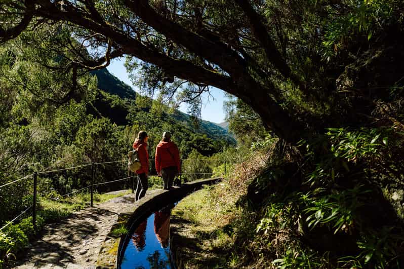 From Funchal/Caniço: Rabaçal Hike (25 Fontes) Bus Transfer - Rabaçal and the 25 Fontes Trail: Why This Transfer Fits