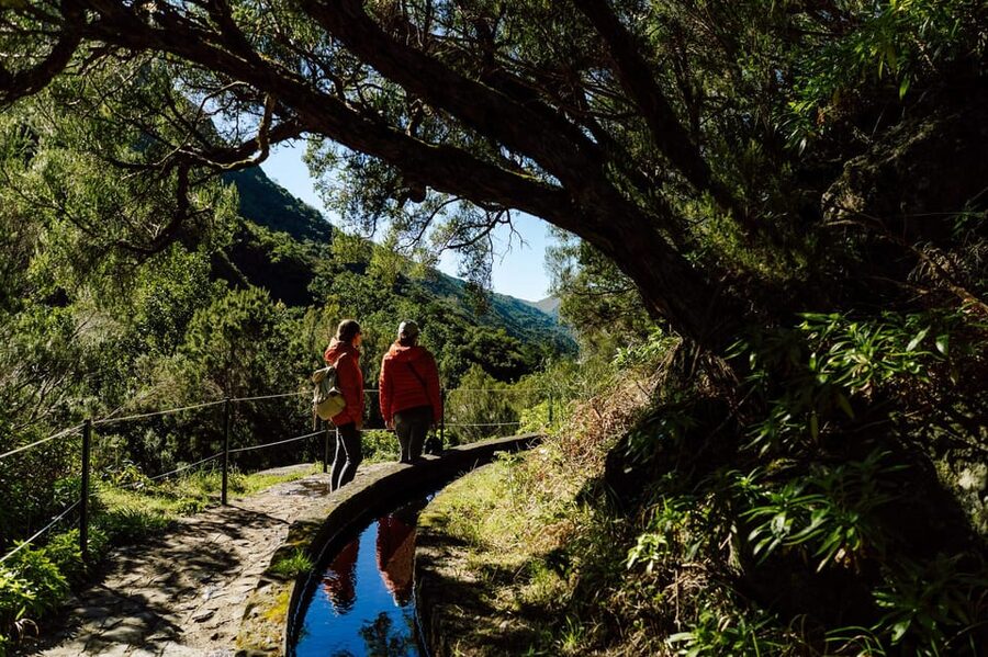 From Funchal/Caniço: Rabaçal Hike (25 Fontes) Bus Transfer - Should You Book This Rabaçal (25 Fontes) Bus Transfer?