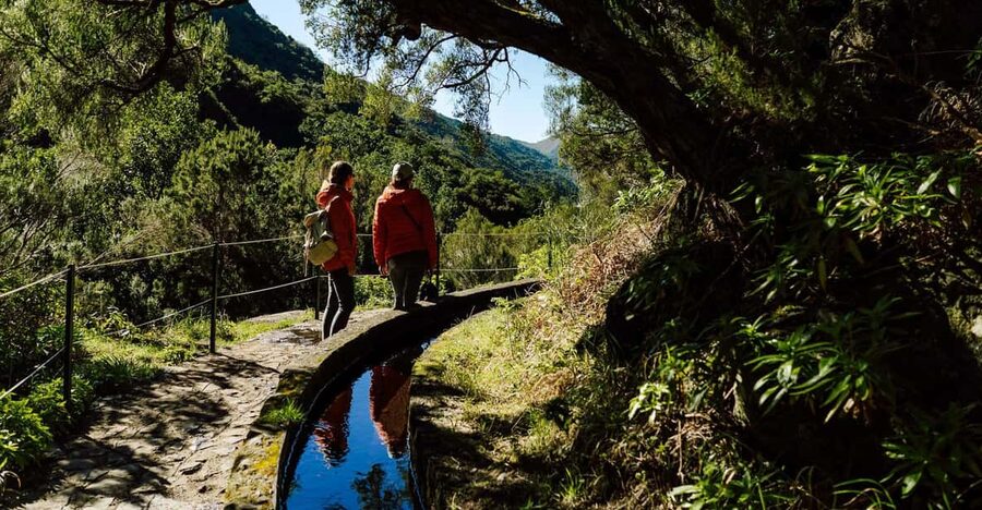 From Funchal/Caniço: Rabaçal Hike (25 Fontes) Bus Transfer - Pickup Zones in Funchal, Caniço, and Garajau (and What That Means for You)