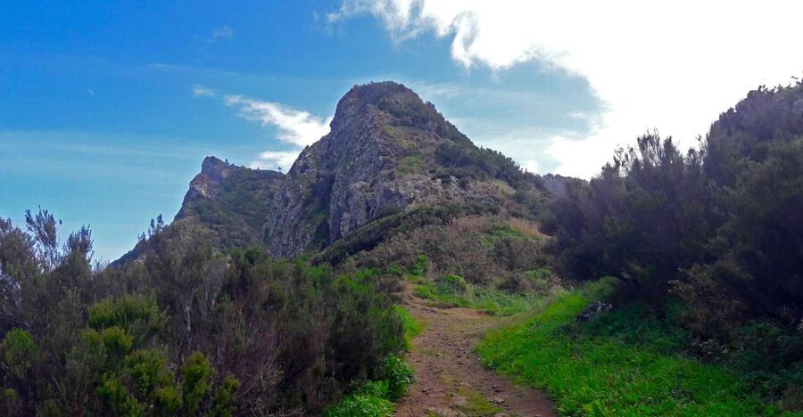 From Funchal: Machico to Porto da Cruz Larano Cliff Hike - From Machico’s Farms to Porto da Cruz: The Route’s Real Changes