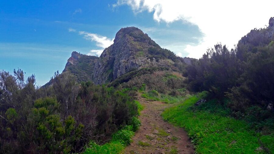 From Funchal: Machico to Porto da Cruz Larano Cliff Hike - Ocean Views From Two Sides: São Lourenço Peninsula and Porto Santo
