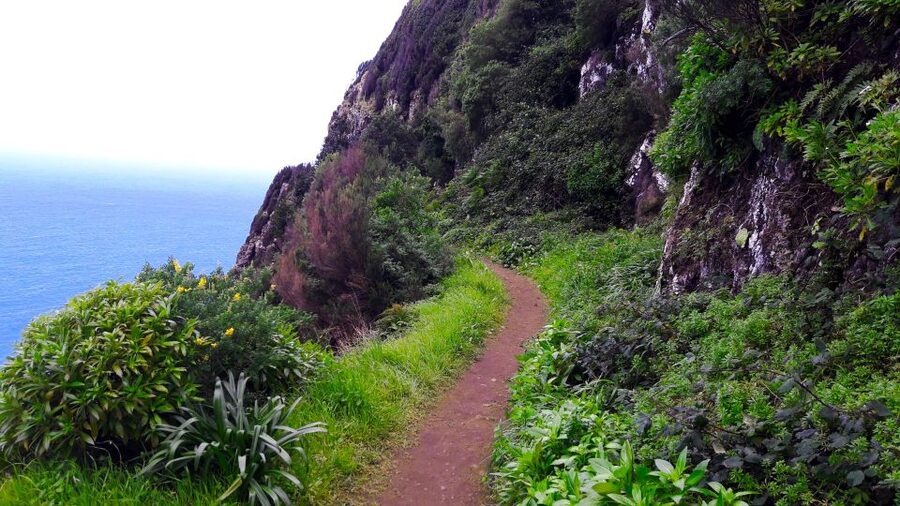 From Funchal: Machico to Porto da Cruz Larano Cliff Hike - How Hard Is It, Really? Pace, Shoes, and the Vertigo Rule