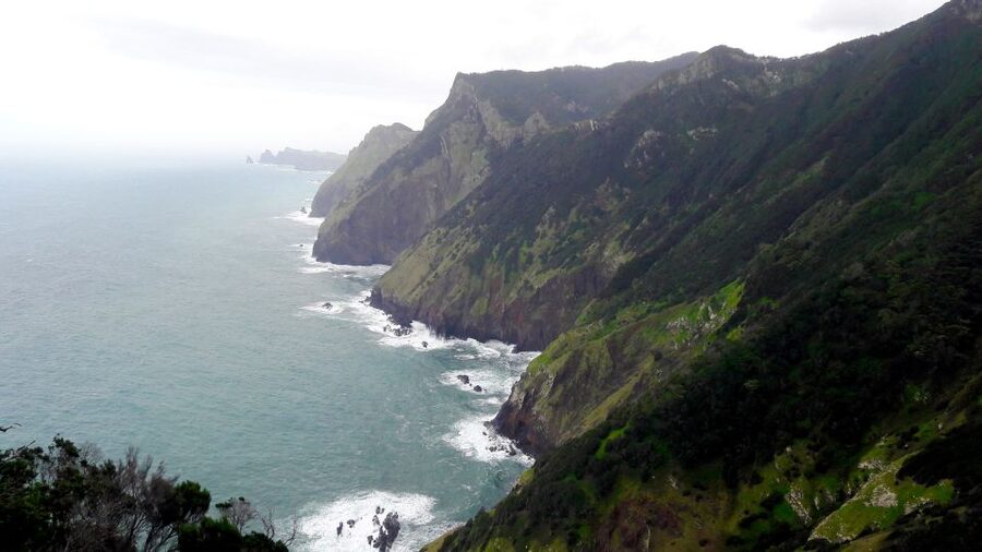 From Funchal: Machico to Porto da Cruz Larano Cliff Hike - Who Should Book This Hike (and Who Should Skip It)