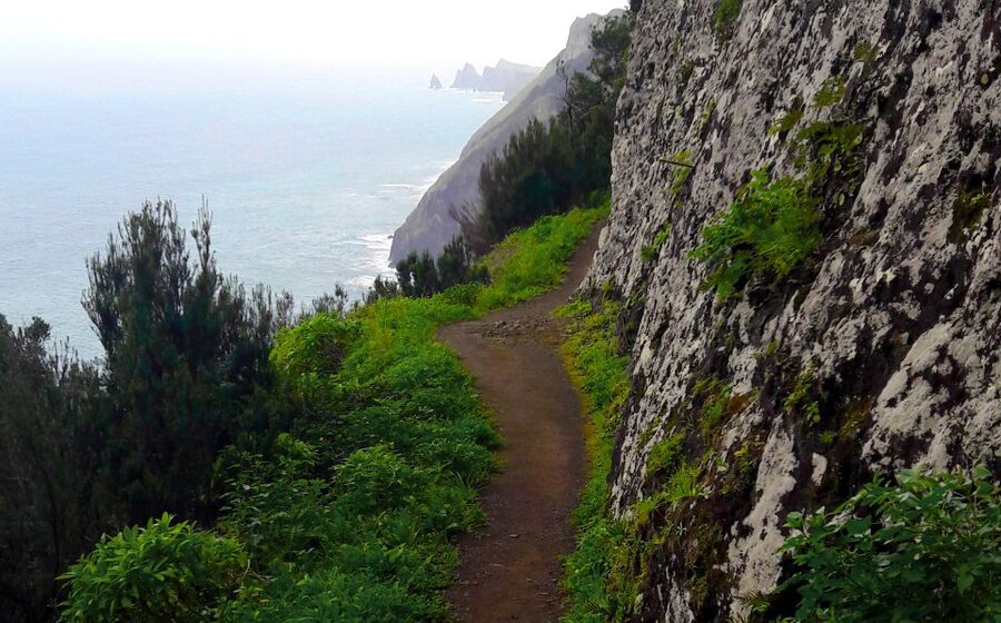 From Funchal: Machico to Porto da Cruz Larano Cliff Hike - The Larano Cliff Section: Ocean Views That Come With Exposure