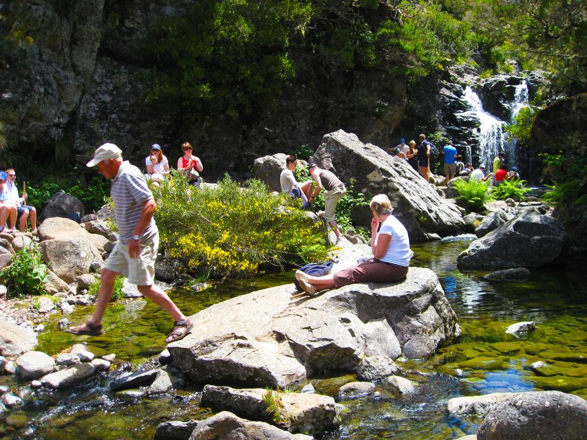 From Funchal: Madeira Lakes Levada Guided Hike - Key highlights you’ll actually feel on your boots