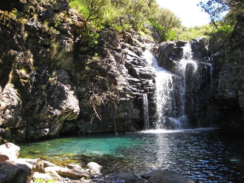 From Funchal: Madeira Lakes Levada Guided Hike - Madeira Lakes Levada: why this hike feels different than a standard nature tour