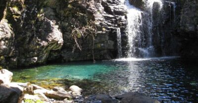 From Funchal: Madeira Lakes Levada Guided Hike - From Funchal to the trailhead: pickup that saves your morning