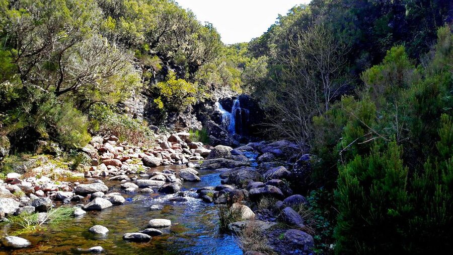 From Funchal: Madeira Lakes Levada Guided Hike - Price and value: is $50 worth it?