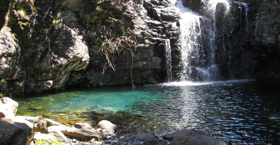 From Funchal: Madeira Lakes Levada Guided Hike - From Funchal to the trailhead: pickup that saves your morning