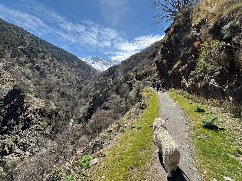 From Granada: High Sierra Nevada hiking experience - Tajos del Campanario Push: steep but doable with the right pace