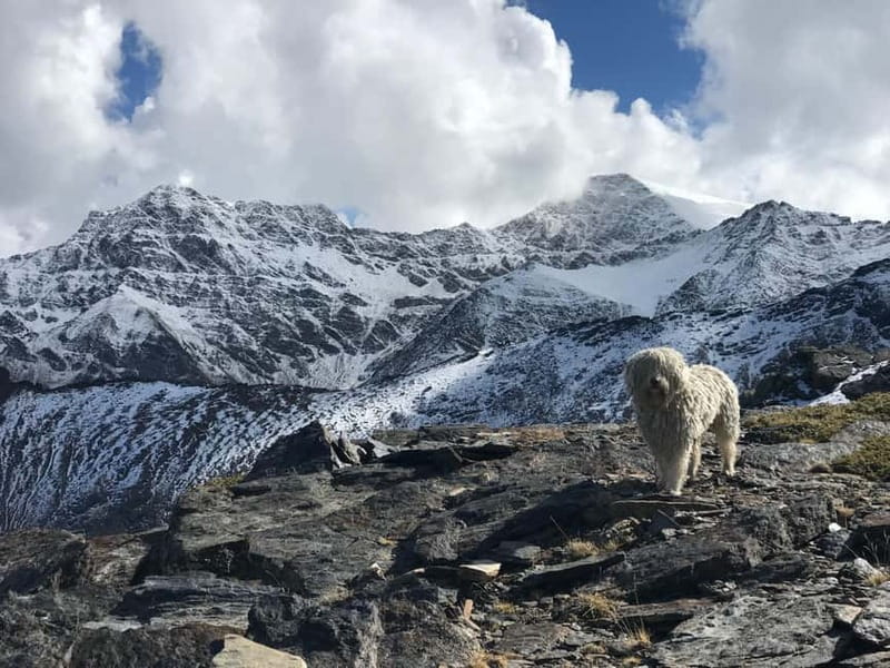 From Granada: High Sierra Nevada hiking experience - What 7 Hours Feels Like: group size, pace, and footwear reality