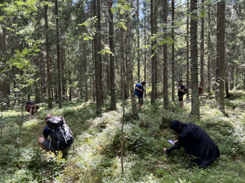From Helsinki: Hike and Sauna in Sipoonkorpi National Park - Key Highlights You’ll Really Feel