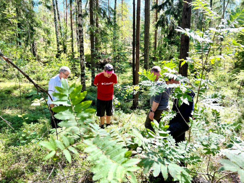 From Helsinki: Hike and Sauna in Sipoonkorpi National Park - Meet at Kiasma and Ride Out With Taiga Times