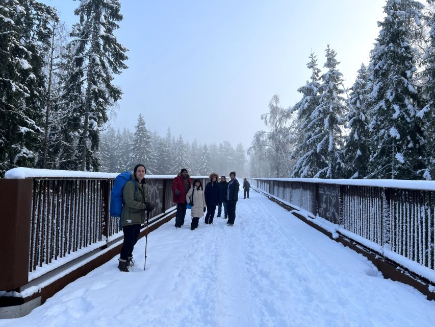 From Helsinki: Hike and Sauna in Sipoonkorpi National Park - What’s Included, What You’ll Need, and How to Pack