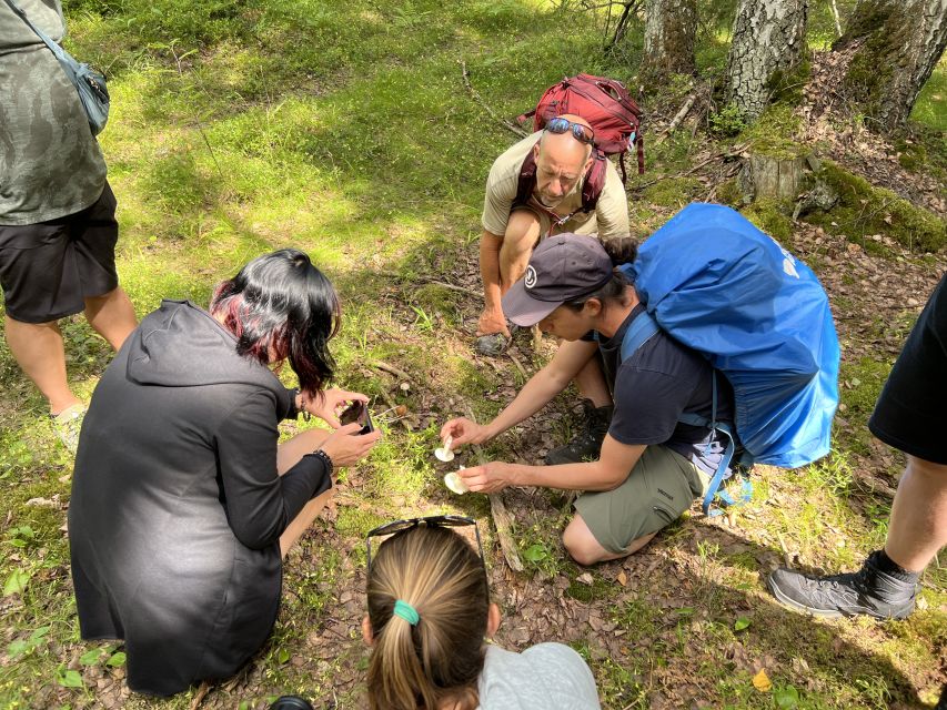From Helsinki: Hike and Sauna in Sipoonkorpi National Park - Who This Tour Fits Best (and Who Should Skip It)